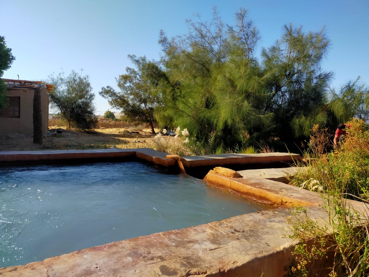 Siwa Oasis and Al Alamein 4 days 3 nights tour from Alexandria