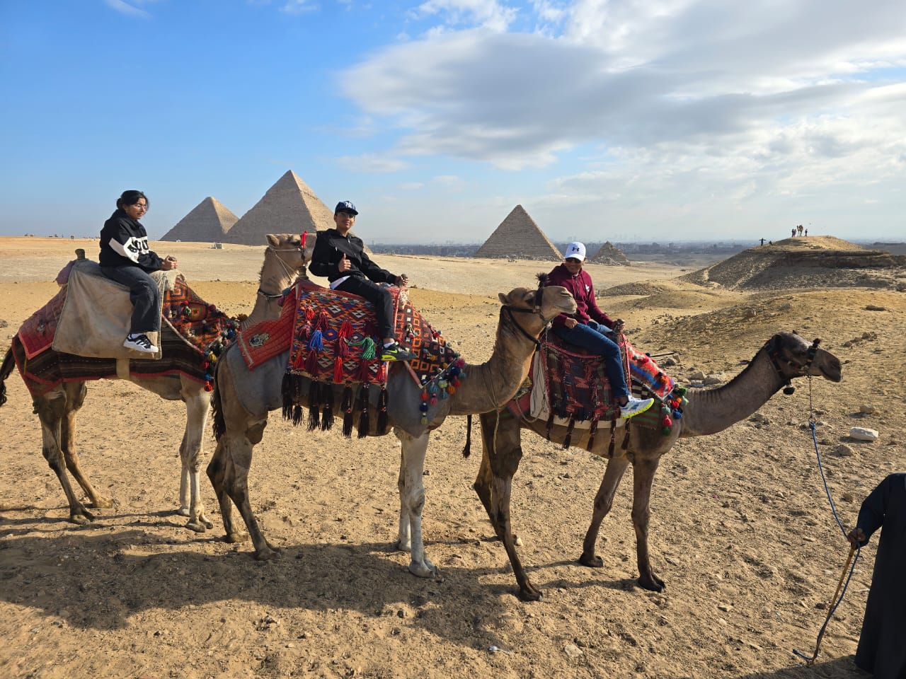 Half day tour Giza Pyramids with camel ride