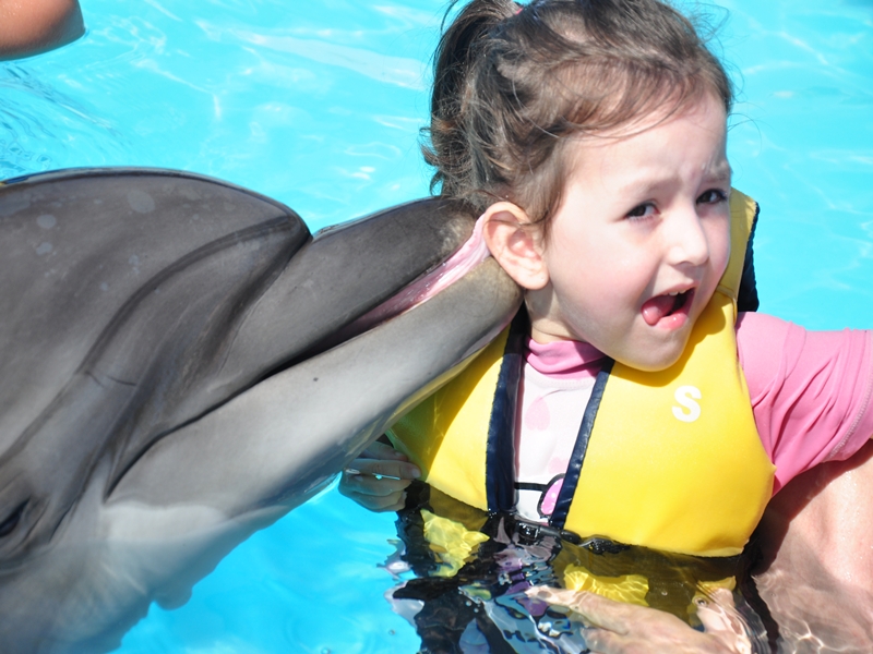 Swimming with dolphin excursion
