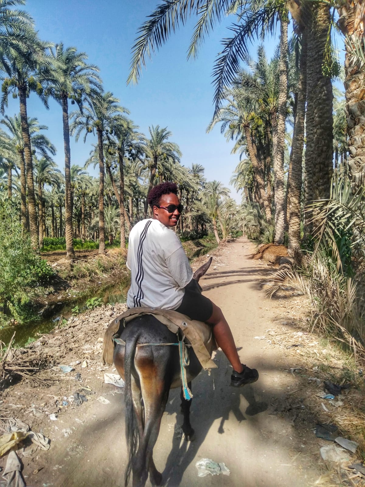 Giza countryside and Dahshur day tour
